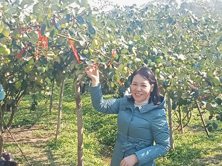 Kinh tế - Chính trị